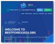 Bestforex2024