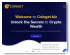 Coinget Investment Limited