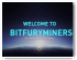 Bitfury-Miners